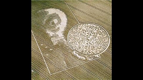Grey alien face with binary message and “extraterrestrial” communication in crop circle