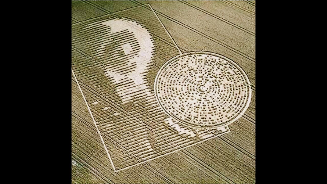 Grey alien face with binary message and “extraterrestrial” communication in crop circle