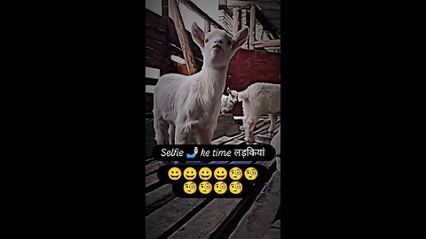 selfie time girls face