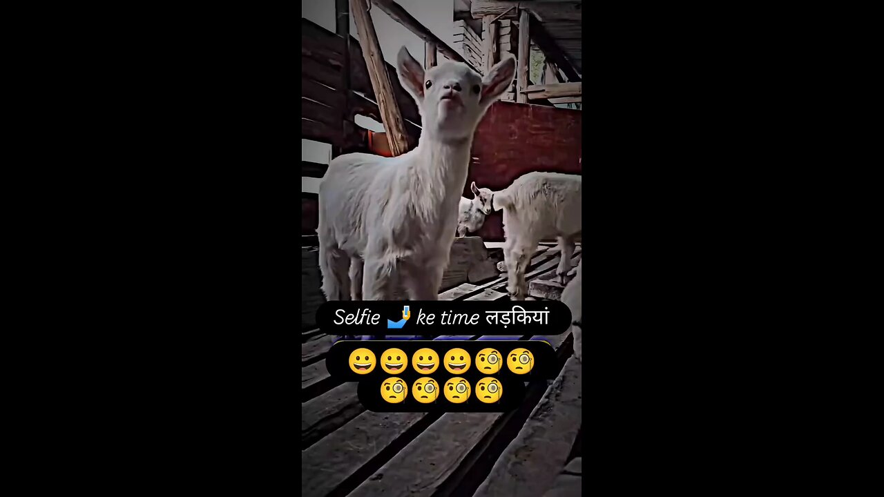 selfie time girls face