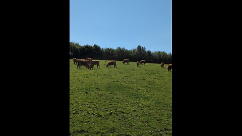 Tomthedevonfarmer