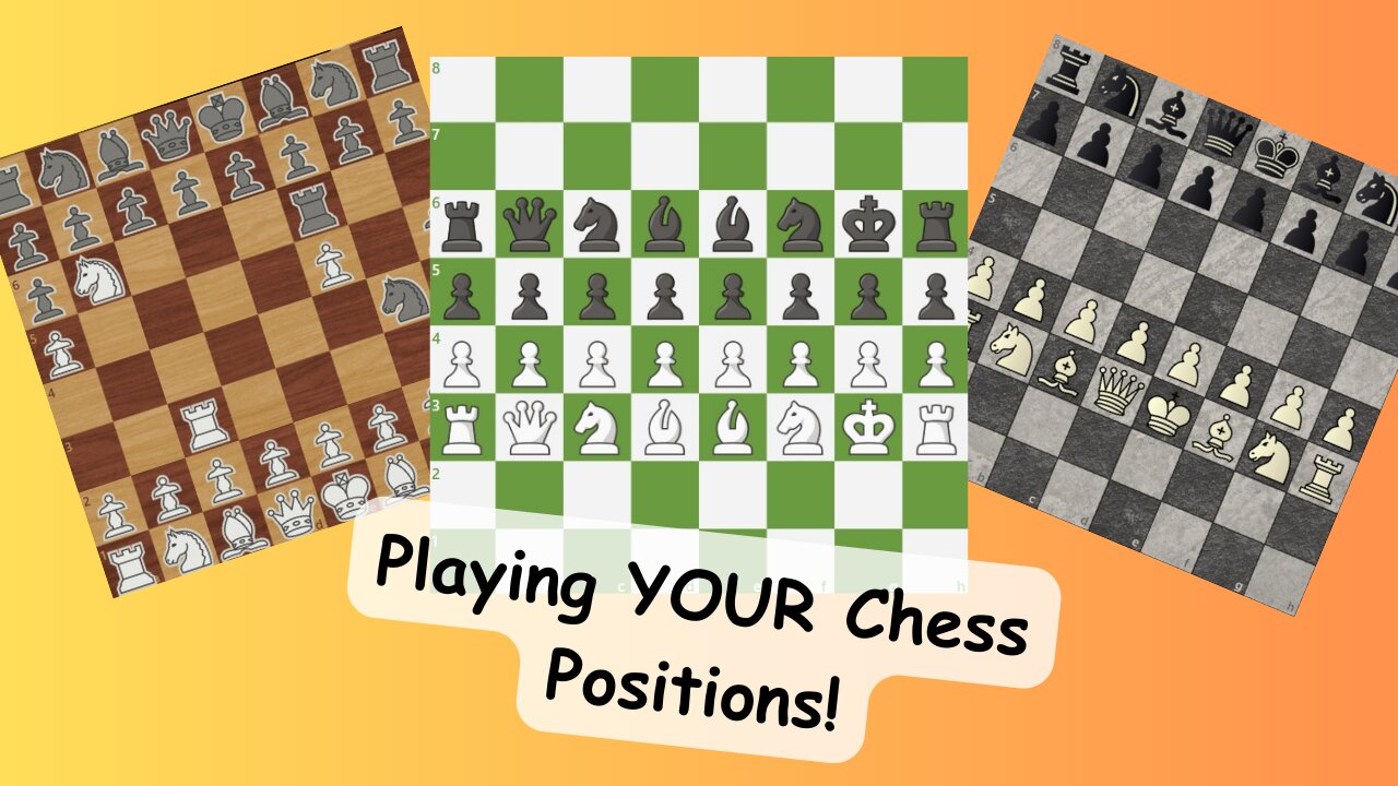 Playing YOUR Chess Positions!