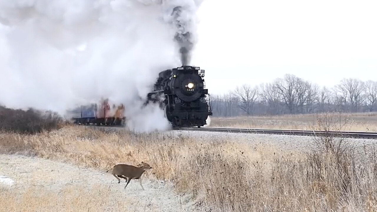 Pere Marquette 1225 Steam Train 2018!