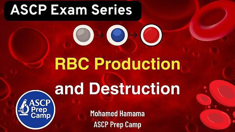 ASCP Hematology: Erythropoiesis & RBC Destruction Explained