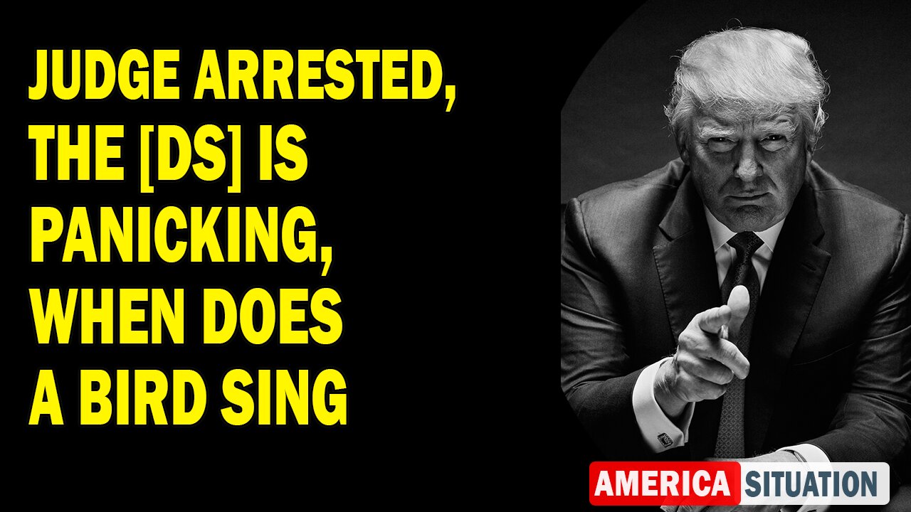X22 Report Huge Intel: Judge Arrested, The [DS] Is Panicking, When Does A Bird Sing