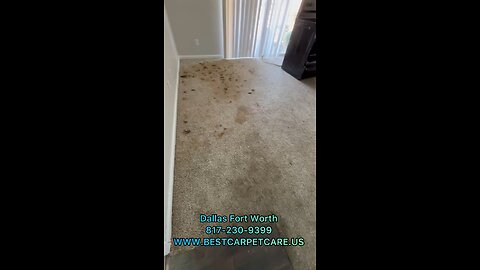 Carpet cleaning