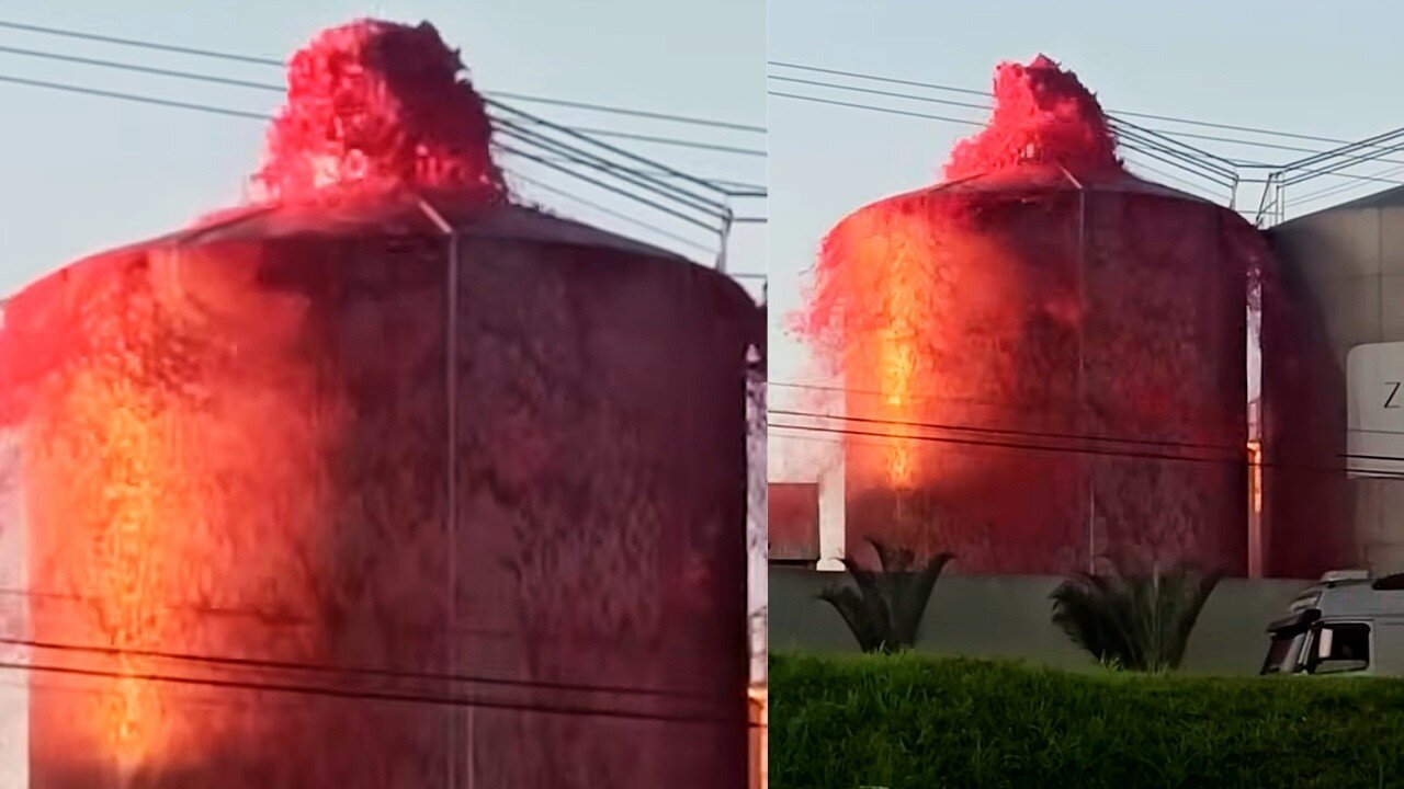 MOMENTS OF LIFE😎😎😎😎AMAZING 20 MINUTES🍉🍒🍓 197