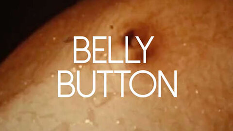Your Belly Button’s SECRET Origin! 🤯 #Shorts