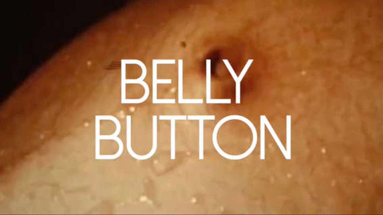 Your Belly Button’s SECRET Origin! 🤯 #Shorts