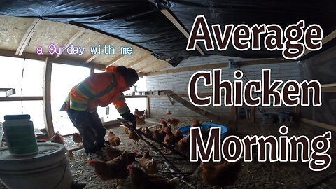 Average Chicken Mornin | a sunday vlog