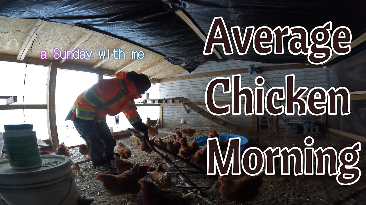 Average Chicken Mornin | a sunday vlog