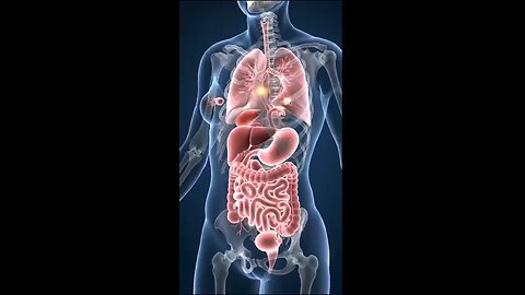 Lungs Before and After TB (Tuberculosis) | 3D Animation