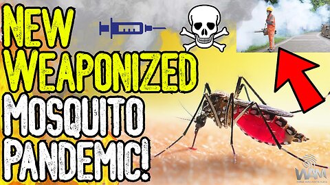 NEW WEAPONIZED MOSQUITO PANDEMIC! - China Shuts Down City! - The Latest Plandemic Agenda!