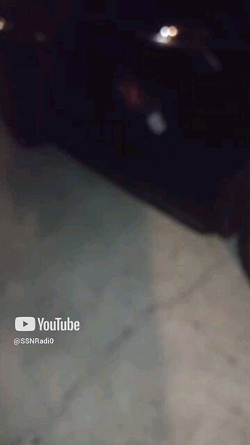 Fat White Librarian 🎅