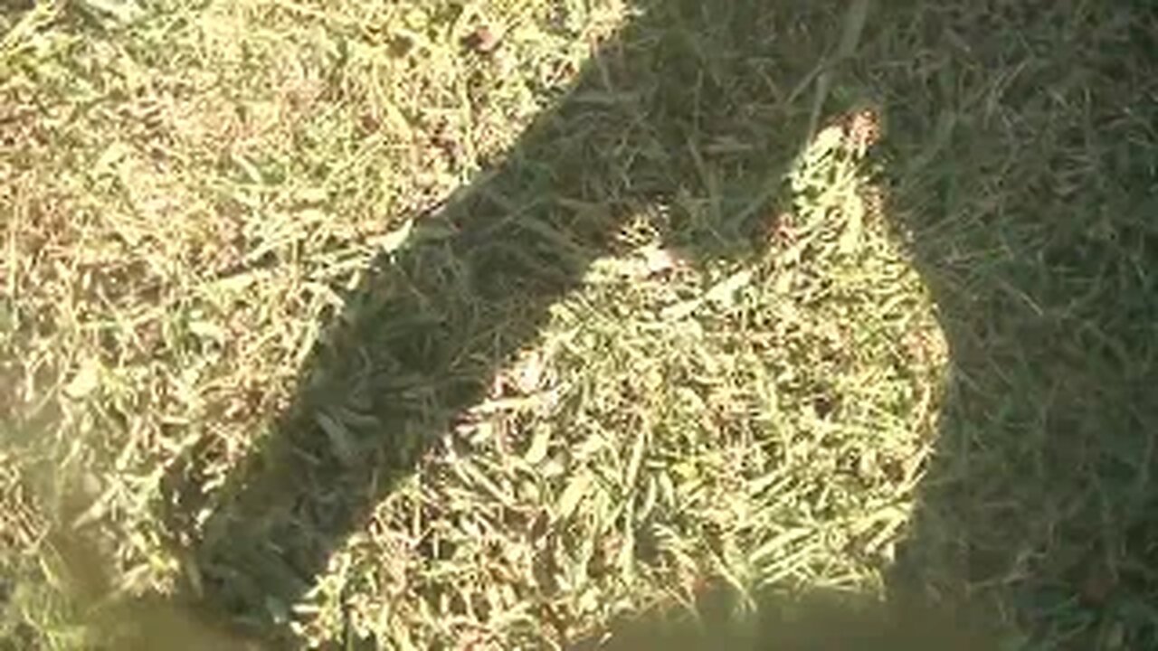 literal positive steps