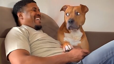 Funny cat and dog videos 2025 | funny animal videos 2025 | funniest animal try not to laugh - Ep.30