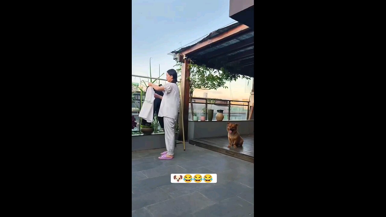 कितना समझदार है