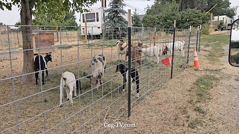 Graham Family Farm NW: 10:40 AM September 6 2025
