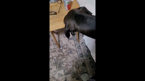 Appreciation is the key to blessing multiplication!