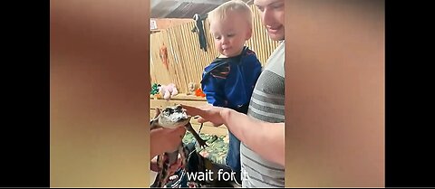 Get Ready to Laugh with Cute Baby Reactions and Pet Videos! 🤣