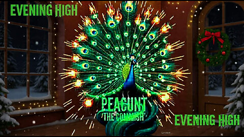 EVENING HIGH🌃 TUESDAY NIGHT☁️☁️🚬🤘👀🦚