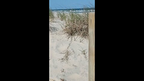 Beautiful Long Beach Island, New Jersey
