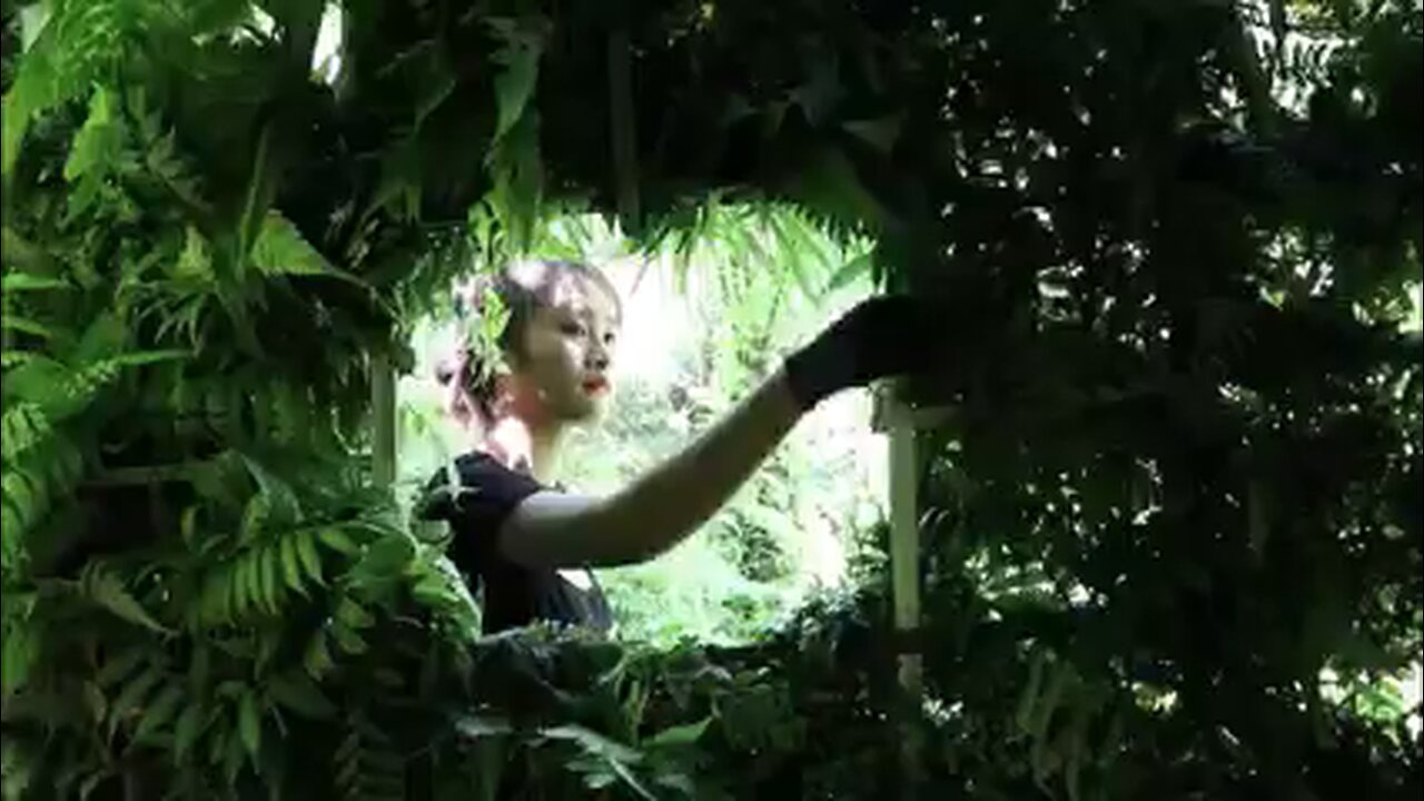 Survival Skills By Girl | Part No 05 #Bushcraft #WildernessSkills #SurvivalLife #PolandBushcraft