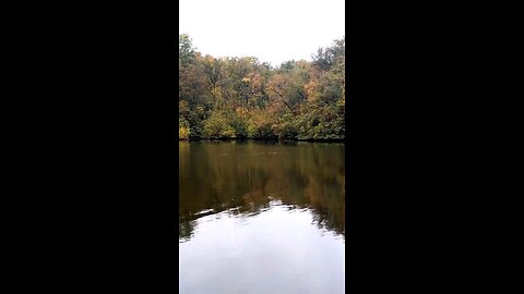 Daily Verse January 17th 2025