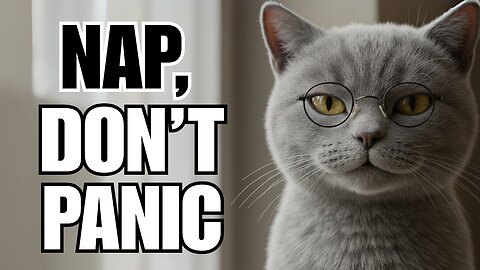 How to Stop Overthinking? Be a Cat (Anxiety Relief Tips)