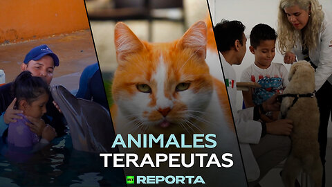 Animales terapeutas