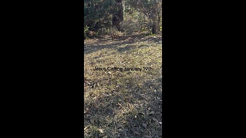 Jesus Calling January 19th