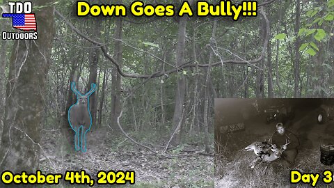 Bully Finally Comes Back And Goes Down!!! #bowhunting #hunting #wildlife