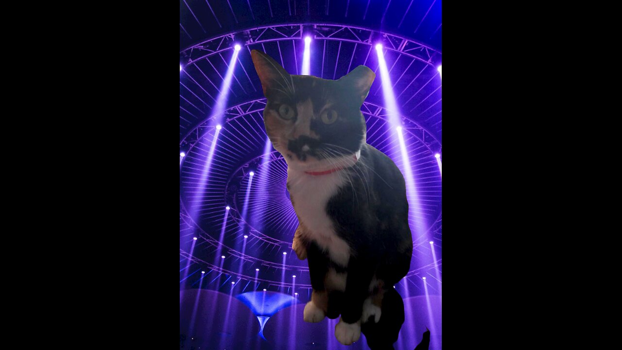 It's music stream time 🎶 🎵 😌 ♥️ ❤️ 👌 🎶 🎵