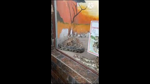 satisfying Video