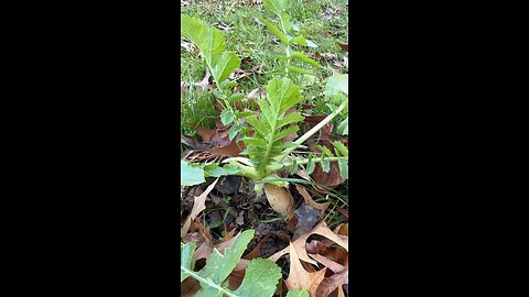 Sunny winter🇺🇸