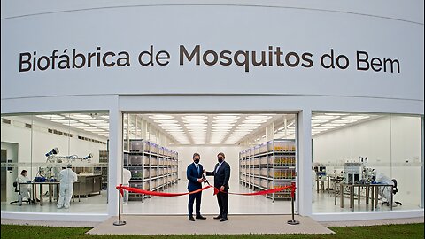 🦟 Brasil Inaugura a Maior Biofábrica do Mundo de Mosquitos "do Bem" 🦟
