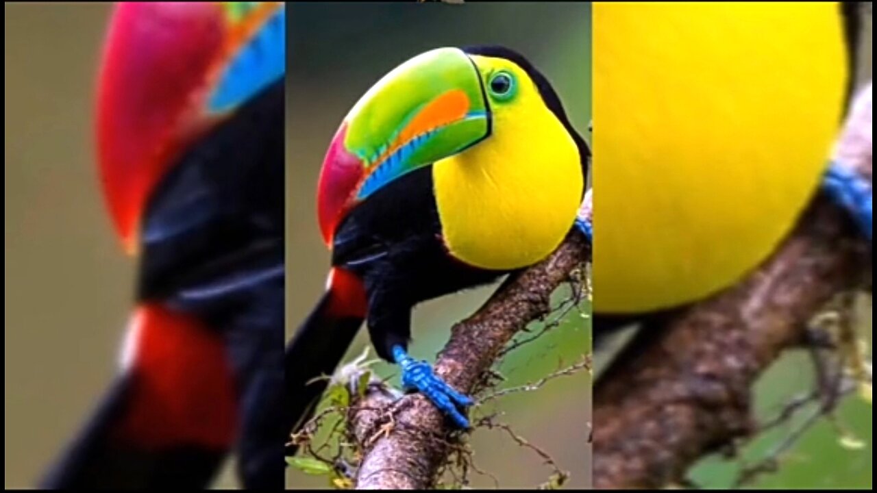 A CARING CHURCH - DAILY DEVOTIONAL ❤️