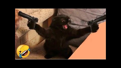 Funny Dogs And Cats Videos 2024 😅- Best Funnies Animal Videos #13
