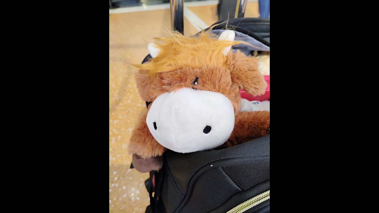 TSA Craziness on Dudleyfest Weekend