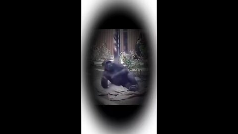 A poor lion _Last Video 😭💔~mini wood toly #shorts#facts #funny craftshorts #viralvideosviralvidi