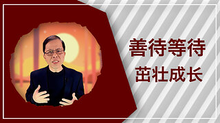 善待等待，茁壮成长：信靠神的突破