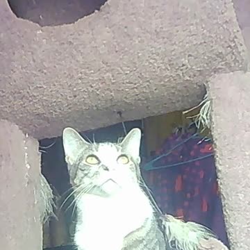 EA S192 - Squirming Loaf