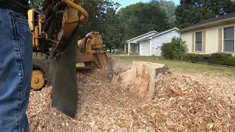 “Stump Grinding 4 Stumps in Huntsville, Alabama!”