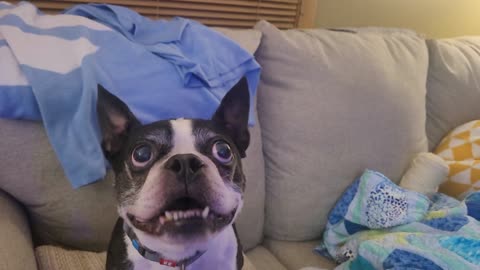 😂 You Won't Believe Harvey's Derp Tonight! | FunFM