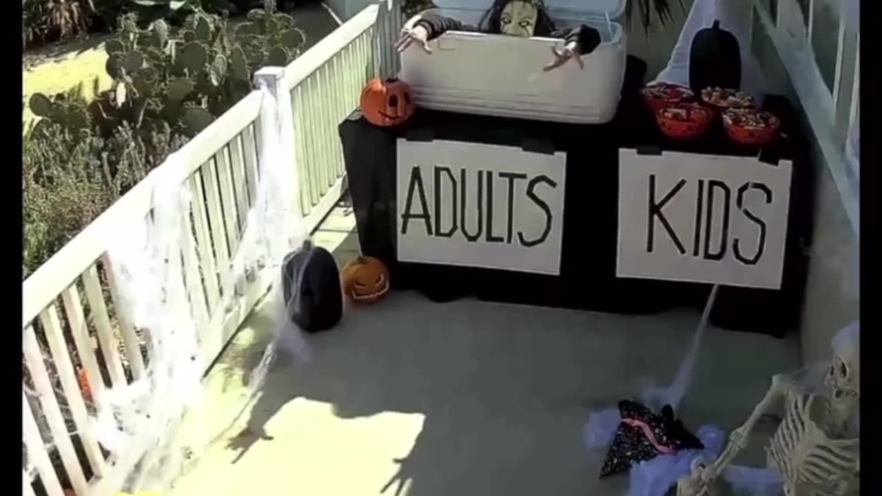 best prank to ever exist