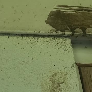 Yellow Jackets 8-9-25