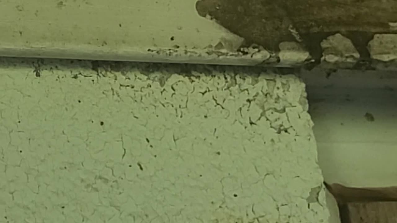 Yellow Jackets 8-9-25