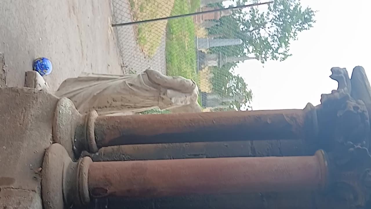 Nuns discussing making cherryberry monkey juice in a quiet cemetery