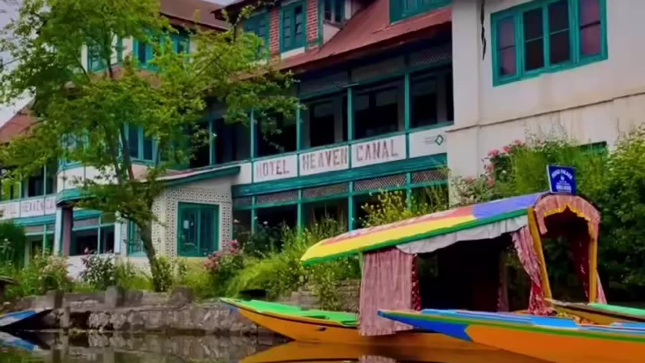Dal lake Srinagar