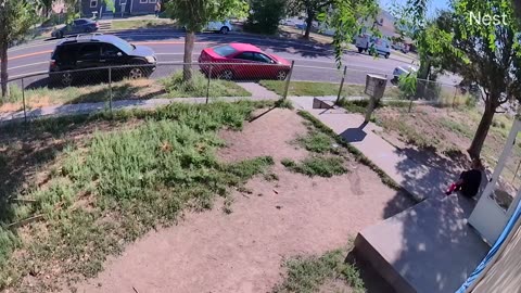 Run Em Off #29 08232025